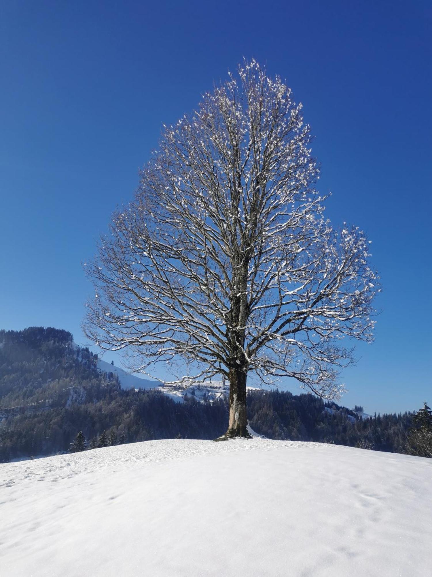 Gasthof Kreuz Marbach Exteriér fotografie