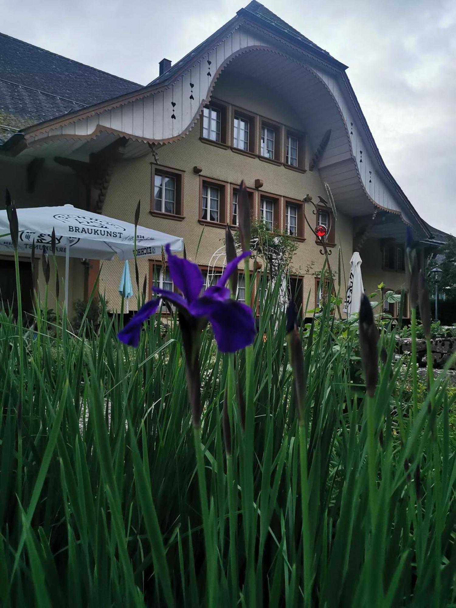 Gasthof Kreuz Marbach Exteriér fotografie