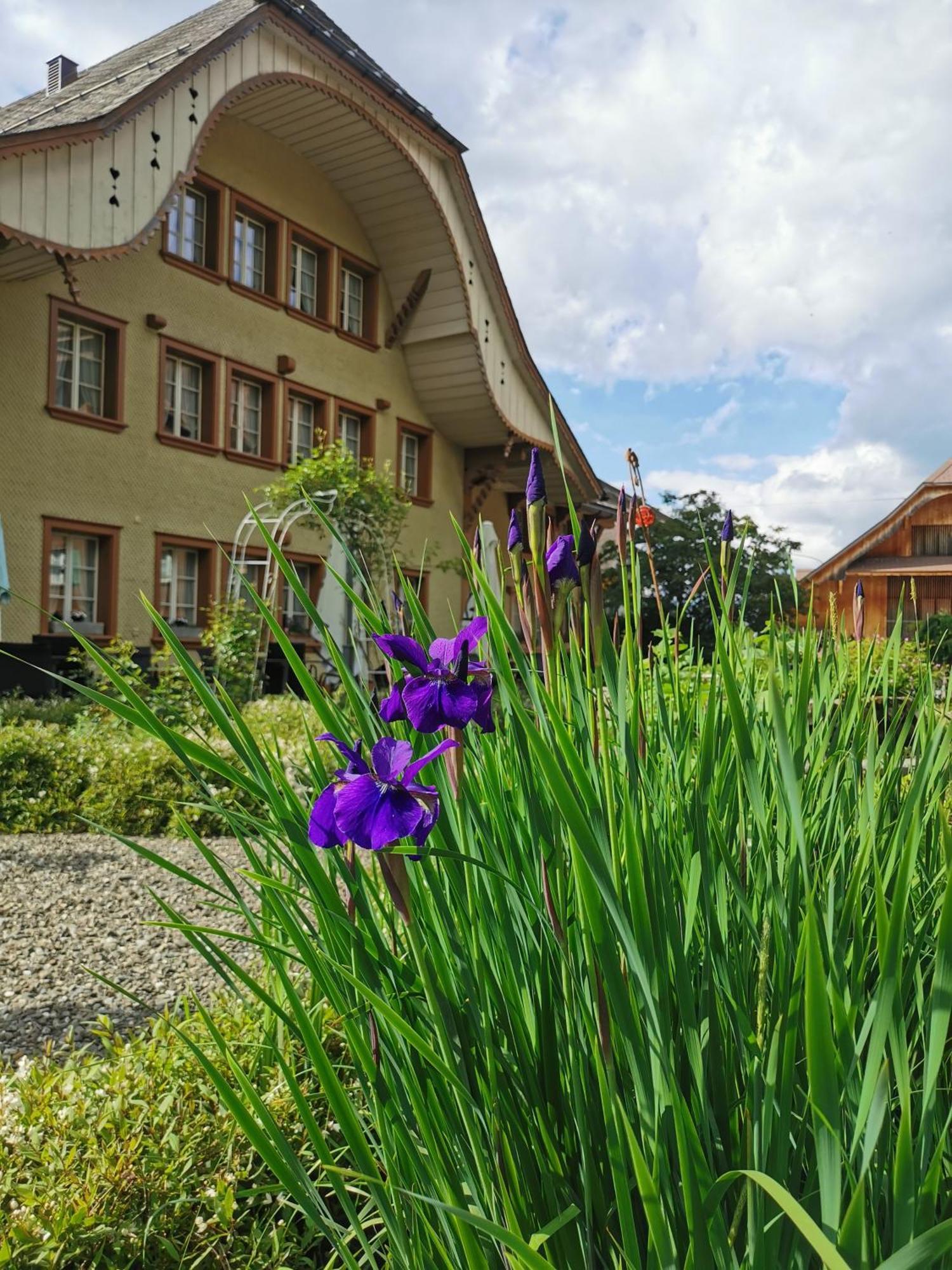 Gasthof Kreuz Marbach Exteriér fotografie
